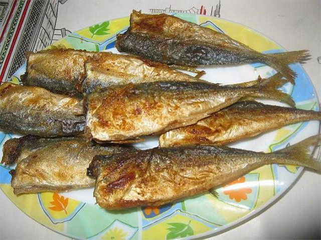 Ставрида